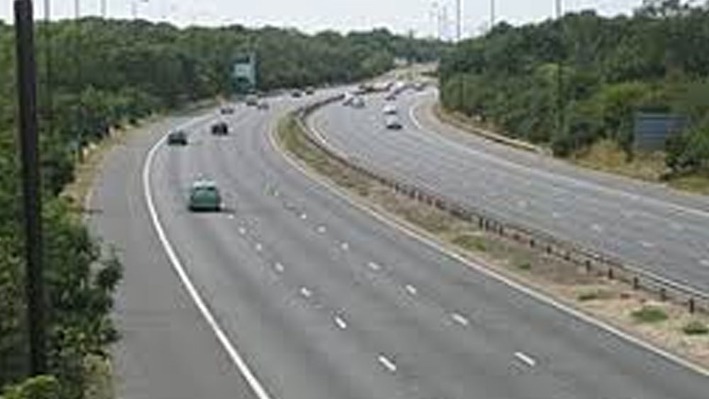 কয়ক বছর ধরে ইংল্যান্ডের গড় তাপমাত্রার ব্যাপক বদল হয়েছে। যা এই গাছটির জন্য আদর্শ বলে অনুমান করেন উদ্ভিদবিদেরা।