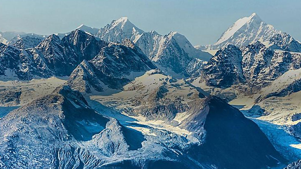 এর আগে আলাস্কা এবং আন্টার্কটিকায় এই গাছটির জীবাশ্ম পাওয়া গিয়েছিল। কিন্তু তাপমাত্রা খুব কম হওয়ায় সেখানে এবং ইংল্যান্ডেও ওই সংরক্ষিত বীজ থেকে নতুন গাছের জন্ম হয়নি।