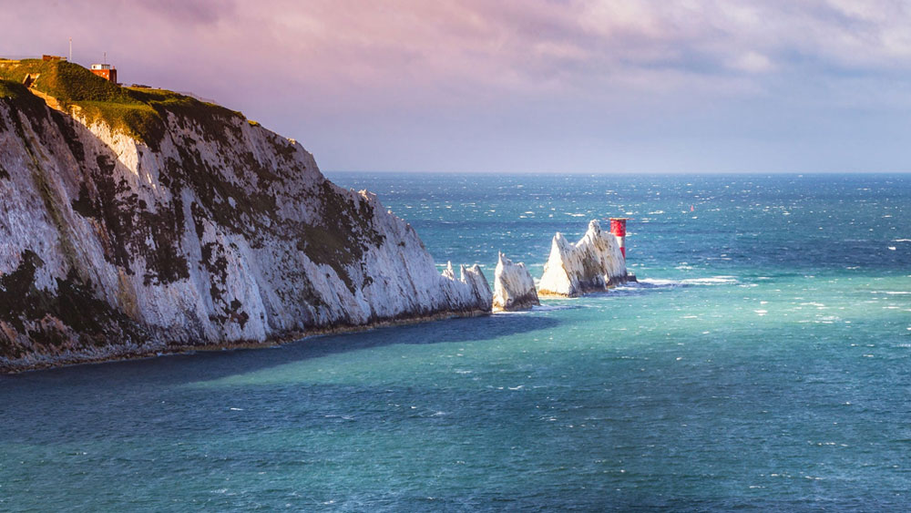 ইংল্যান্ডের আইলে অব উইট দ্বীপের উদ্ভিদ উদ্যানে এই গাছটির বীজ সংরক্ষণ করা হয়েছিল। এখানকার তাপমাত্রা তুলনামূলক বেশি হওয়ায় এই গাছের পক্ষে তা আদর্শ।