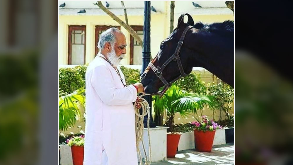 বর্তমানে মেবার রাজবংশের অন্যতম মুখ হলেন শ্রীজি অরবিন্দ সিংহ মেবার। রাজবংশের এই উত্তরাধিকার এক জন সফল শিল্পপতিও। উদয়পুর প্যালেসে সপরিবার থাকেন অরবিন্দ। ‘এইচ আর এইচ গ্রুপ অব হোটেলস’-এর কর্ণধার অরবিন্দের অন্যতম শখ বিভিন্ন প্রজাতির বাহারি ঘোড়া।