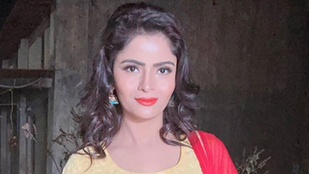 এর পর কিছু হিন্দি ছবিতেও দেখা গিয়েছে তাঁকে। কিন্তু এখনও পর্যন্ত তাঁর কোনও হিন্দি ছবি সে ভাবে সফল হয়নি। তবে ওয়েব সিরিজের অত্যন্ত পরিচিত মুখ তিনি।