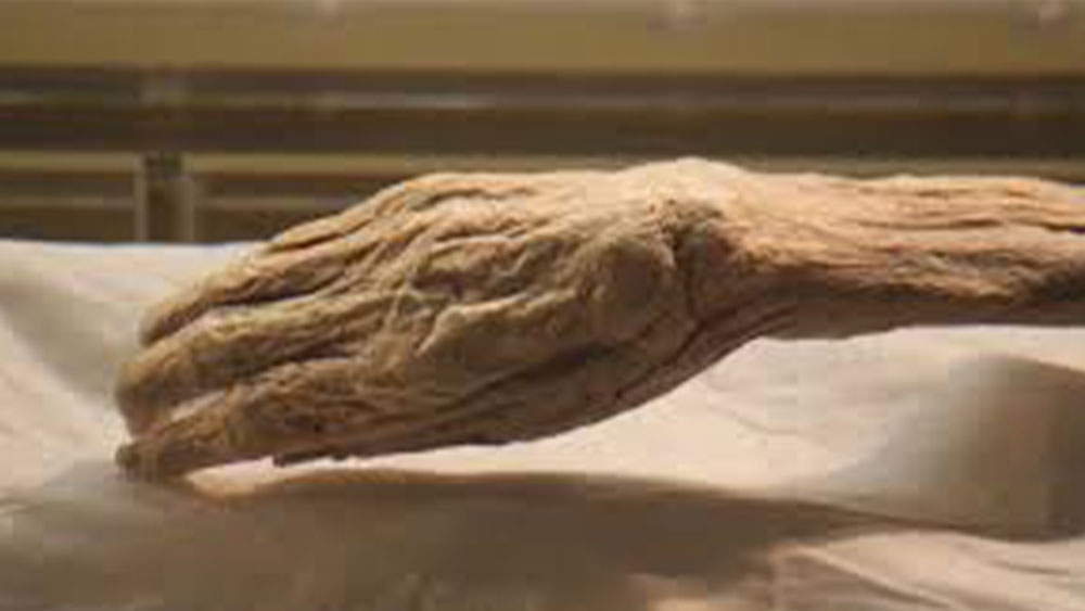 সাল, ১৯৭১। সময়টা ঠান্ডা লড়াইয়ের। সম্ভাব্য বিমান হামলা থেকে বাঁচতে একদল চিনা শ্রমিক মাটি খুঁড়ে একটি আশ্রয়ের ব্যবস্থা করার চেষ্টা করছিলেন। এমনই সময় তাঁরা ‘খুঁজে পান’ জিন হুই কে।