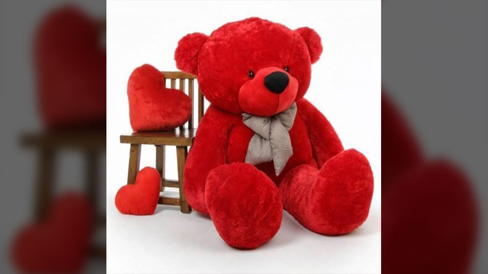 teddy day at middle of valentine week, do you know the onset dgtl