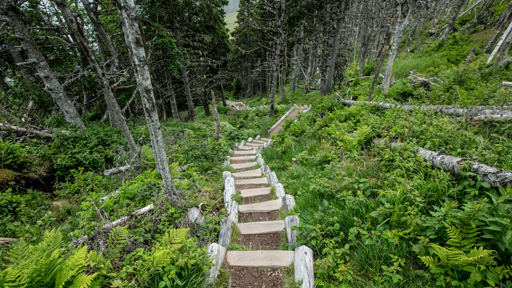 ১৯৭৫ সাল থেকে ওই গ্রামগুলো সম্পূর্ণ পরিত্যক্ত। এই গ্রামে আজও সরল জীবনযাত্রার ছাপ রয়েছে। আজও সেই পোস্ট অফিস, গির্জা, ছোট ছোট ঘর-সবই রয়েছে। সে গ্রামে গেলে এ সবই দেখতে পাওয়া যাবে। শুধু দেখা মিলবে না কোনও মানুষের।