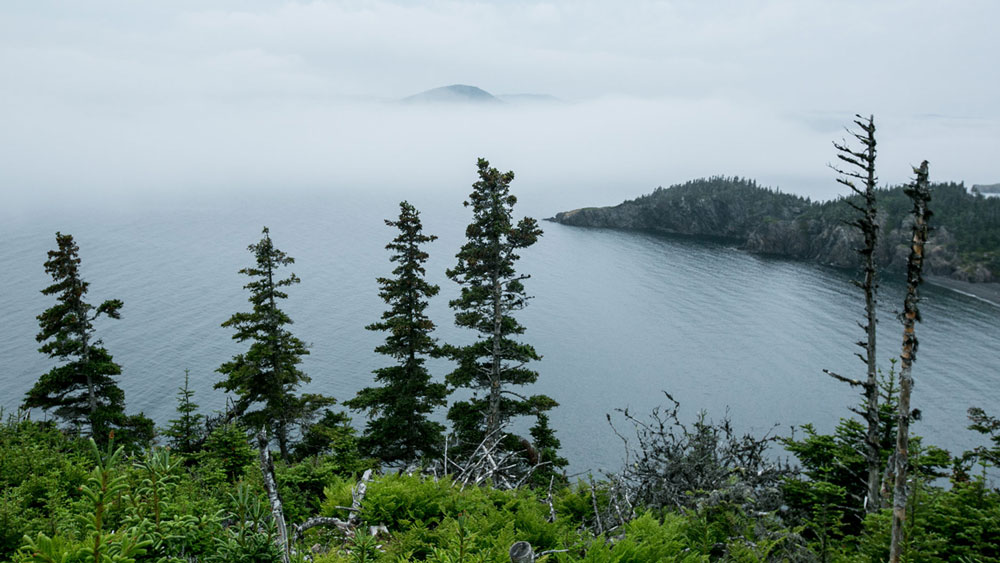 যোগাযোগের জন্য রাস্তা বানাতে হবে, পড়াশোনার জন্য স্কুল বানাতে হবে এবং চিকিৎসার জন্য হাসপাতালের ব্যবস্থা করাটা ছিল প্রথম প্রয়োজন। পরিস্থিতি এমন ছিল যে তার জন্য গ্রামগুলিকে খালি করতে হয়।