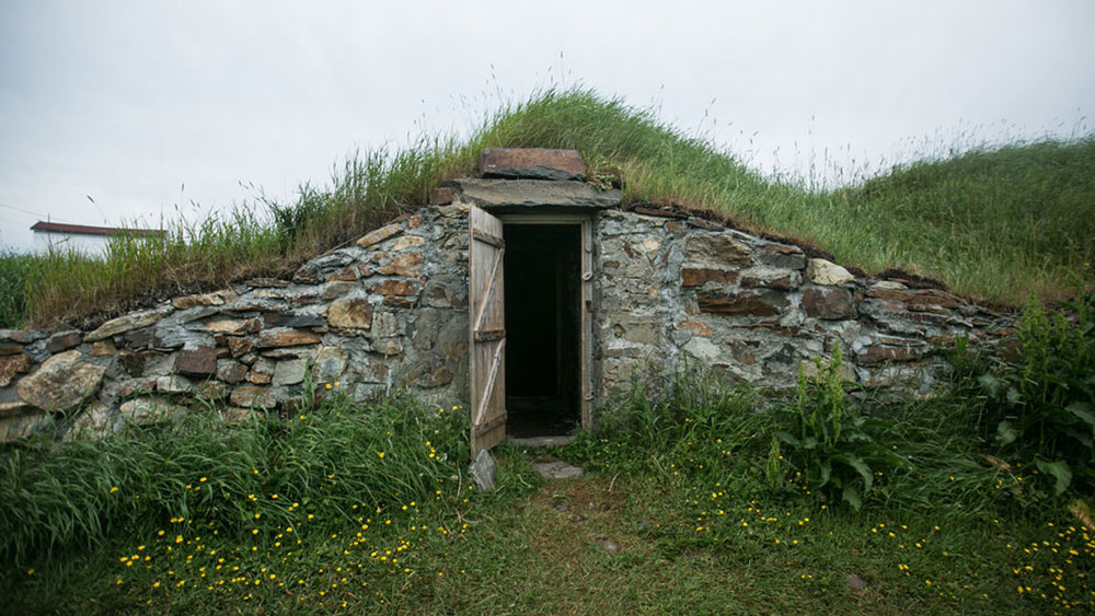 নিউফাউন্ডল্যান্ড এবং ল্যাব্রাডর অনেকটা বিস্তৃত, প্রত্যন্ত এবং আশপাশের অন্য অঞ্চলের থেকে একটু স্বতন্ত্র এলাকা।