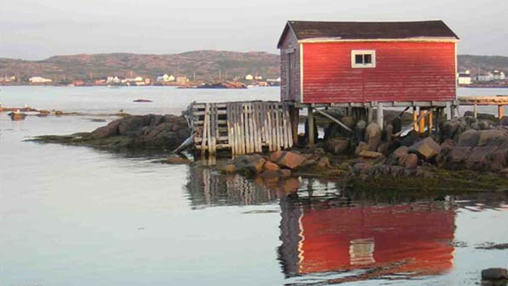 পোস্ট অফিস, গির্জা, কবরস্থানের দেখা মিলবে গ্রামে। ঠিক যেন আদর্শ কোনও গ্রাম। কিন্তু বিস্ময়ের বিষয়, হন্যে হয়ে খুঁজলেও কোনও মানুষের দেখা পাবেন না এই গ্রামে।