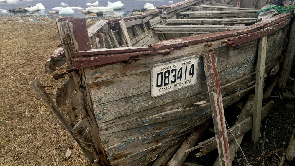 কানাডার ট্রিনিটি উপকূলের কাছে একটি ছোট এবং ছিমছাম গ্রাম। সমুদ্রের দিকে তাকিয়ে রয়েছে গ্রামটি। মূলত মৎস্যজীবীদের বাস।