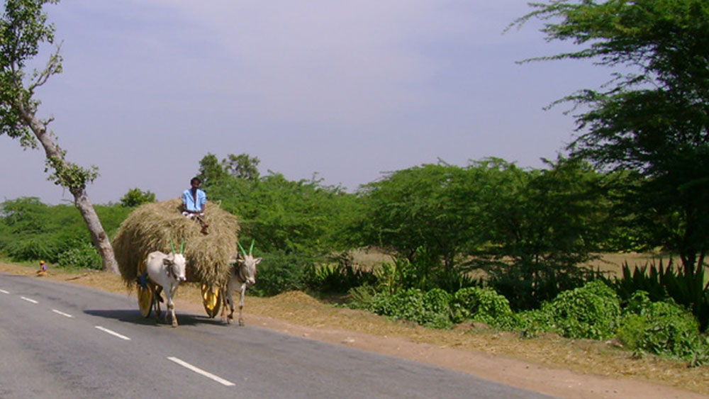 তাঁদের গ্রামে জন্ম এক আইএএস অফিসারের সম্পর্কে নির্মলাকে গল্পও বলেছিলেন। ওই অফিসারও খুব কষ্ট করে পড়াশোনাকরেছেন। তাঁর কাহিনি বলে তিনি মেয়ে নির্মলাকে পরীক্ষায় বসার জন্য উৎসাহিত করেন।