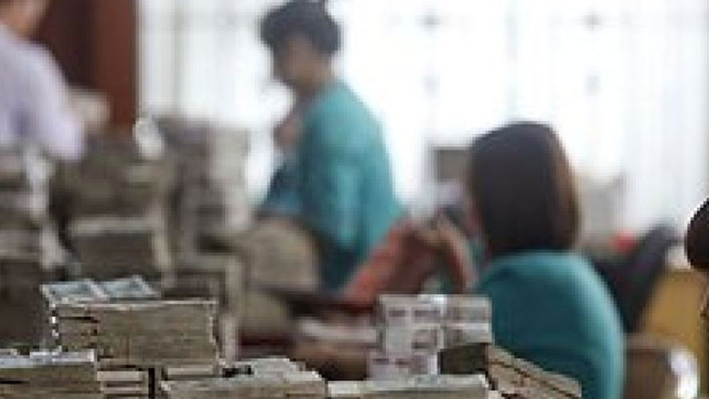 ২০০৪ সালে স্নাতক হওয়ার পর বেসরকারি ব্যাঙ্কে কাজ পান নির্মলা। কিন্তু মা চাইতেন পাবলিক সার্ভিস কমিশনে বসুক মেয়ে। মেয়েকে নিজের ইচ্ছার কথা জানিয়েছিলেন।