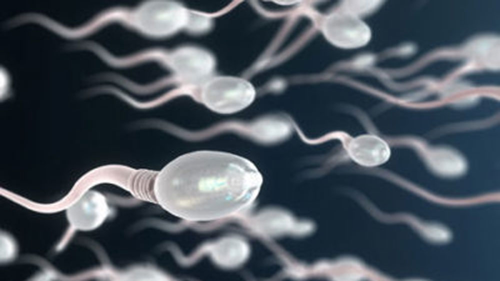 ১৯৯৬ সালের এই সংস্থার সদর দফতর রয়েছে আমেরিকার লেহিতে। এই সংস্থা বংশগত রেকর্ড খুঁজে পেতে সাহায্য করে। তাদের সঙ্গে যোগাযোগ করে জেভ জানতে পারেন গত ১০ বছরে অন্তত ৫০০ বার শুক্রাণু বেচেছেন তাঁর বাবা।