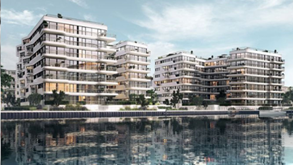 জেভের বাড়ির কাছেই বাস করেন এমন এক জন বোনের খোঁজও পেয়েছেন তাঁরা। নিজের ভাইবোনেদের খোঁজ পেতে মরিয়া জেভ তাই অ্যানসেস্ট্রি.কম-এর সঙ্গে যোগাযোগ করেন।