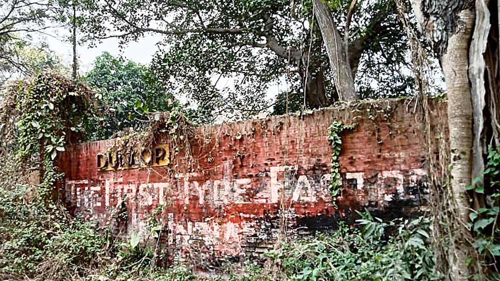 আগাছায় ঢাকা ডানলপ কারখানা। — নিজস্ব চিত্র।