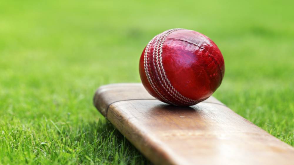 এর পরই তিনি সুযোগ পান তামিলনাড়ু প্রিমিয়ার লিগে। অভিনব মুকুন্দের পাশাপাশি তিনিও ছিলেন টুর্নামেন্টের নির্ভরযোগ্য ওপেনার। ক্রিকেটপ্রেমীদের ধারণা, শাহরুখ লম্বা দৌড়ের ঘোড়া।