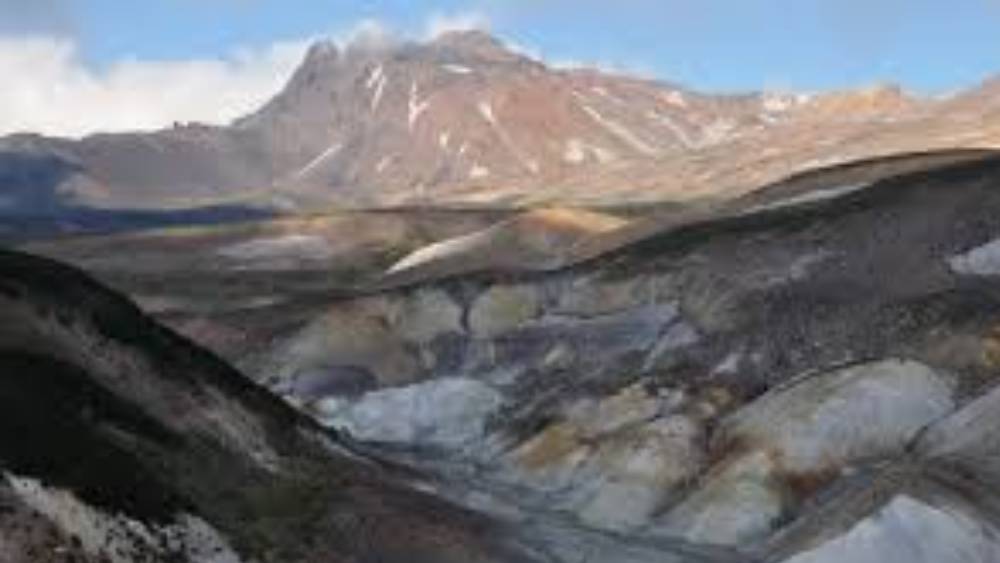 তাদের মধ্যে বেশির ভাগই তৎক্ষণাৎ সেখানে মারা যায়। নেকড়ের মতো শিকারি ঝাড়ুদার পশুরা সেখানে সহজেই খাবার পেয়ে যায়। শিয়াল, ঈগল থেকে শুরু করে ভল্লুকের মতো বড় প্রাণীও ১.২ মাইল লম্বা মৃত্যুফাঁদে পা দিয়েছে।