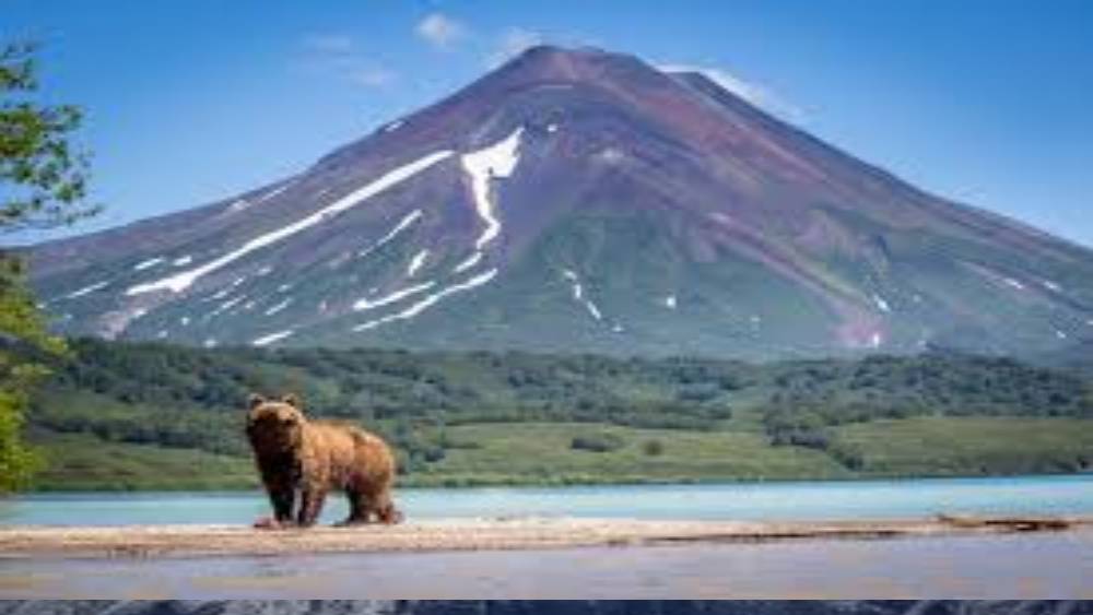 কামচাটকা উপদ্বীপের জনস‌ংখ্যা সাড়ে ৩ লাখেরও কম। এখানে বেশির ভাগ আগ্নেয়গিরিই অতি সক্রিয়। বরফে ঢাকা আগ্নোগিরির এই উপত্যকাকে ইউনেস্কো ‘ওয়ার্ল্ড হেরিটেজ সাইট’ এর তকমা দিয়েছে। অনুমতি সাপেক্ষে এর বহু অংশেই যাওয়া যায়। উৎসাহী, গবেষক এবং পর্যটকরা যানও এই উপদ্বীপে।