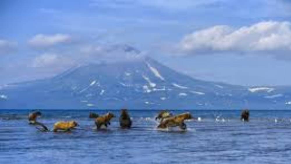 তবে উপত্যকার ‘ভ্যালি অব ডেথ’ অংশে সাধারণের প্রবেশ কার্যত নিষিদ্ধ। গেজারনায়া নদীর কাছে এই অংশে আছে বিপজ্জনক তুষারখাঁড়ি। সব জায়গায় ছড়িয়ে ছিটিয়ে থাকে হিমশীতল প্রাণীর দেহ।