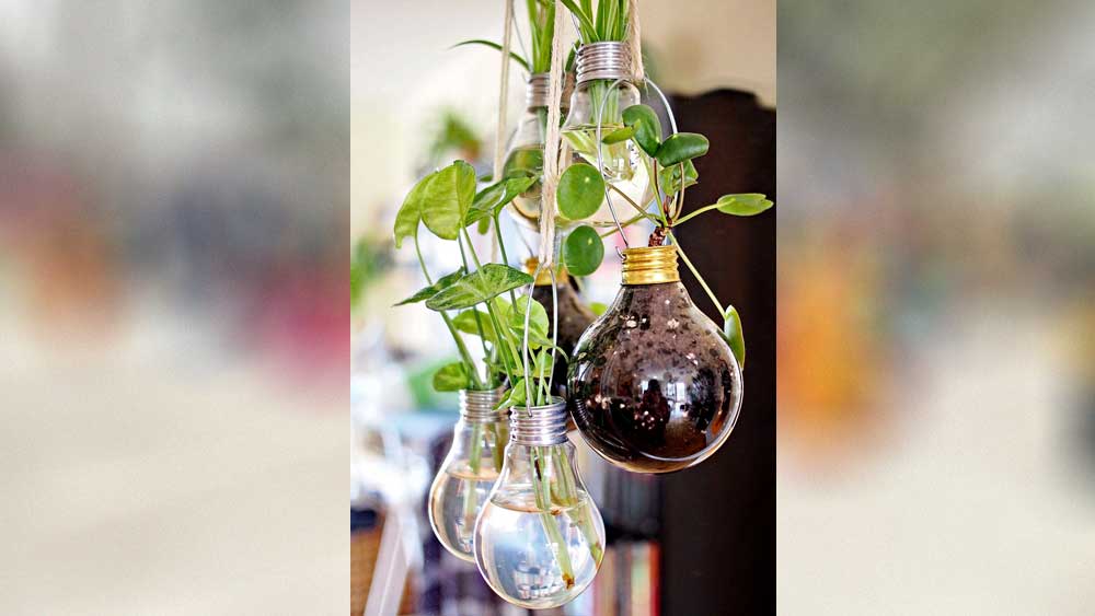 ঝুলন্ত টব।