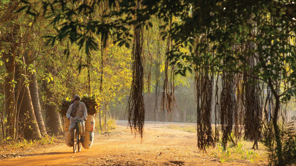 নিজস্ব চিত্র