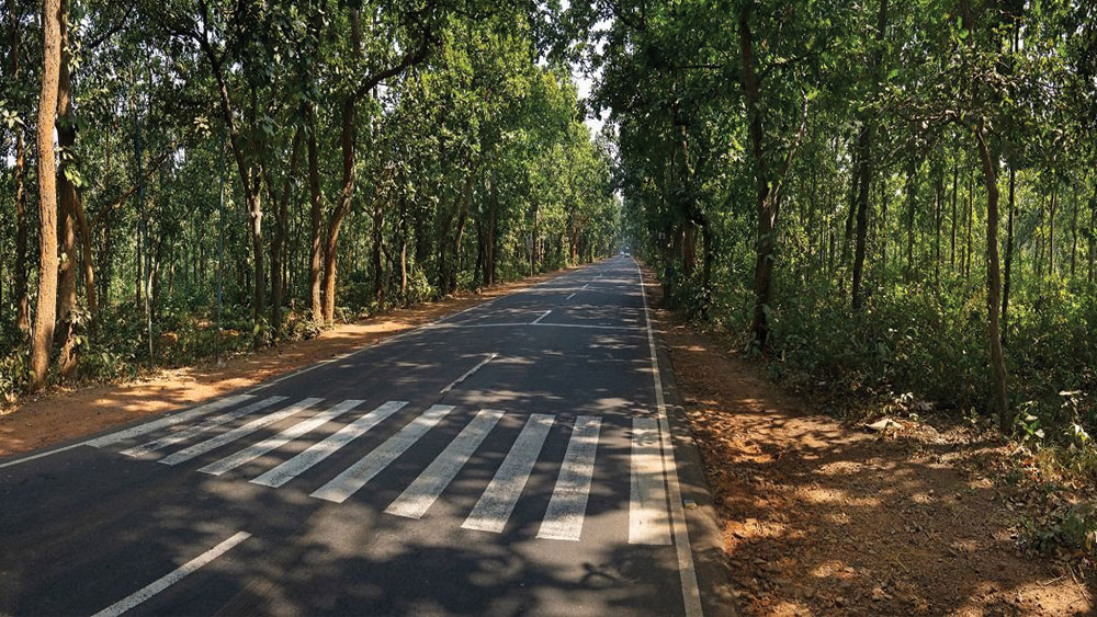 লালমাটির ক্যানভাস মসৃণ হাইওয়ের দু’পাশে রাস্তা ।