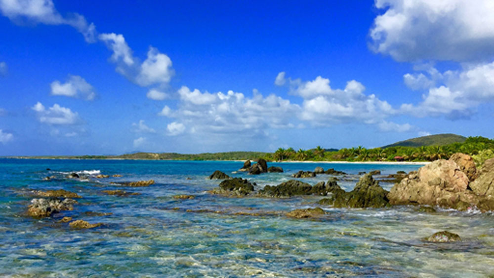 কিন্তু বহু বছর ধরে একটু একটু করে যে সমস্ত কামান বা ভারী যন্ত্রপাতি তাঁরা দ্বীপে এনেছিলেন সব ফিরিয়ে নিয়ে যাওয়া সম্ভব হয়নি। পিছনে ফেলে যান বহু কামান এবং গুরুত্বপূর্ণ যন্ত্রপাতি।