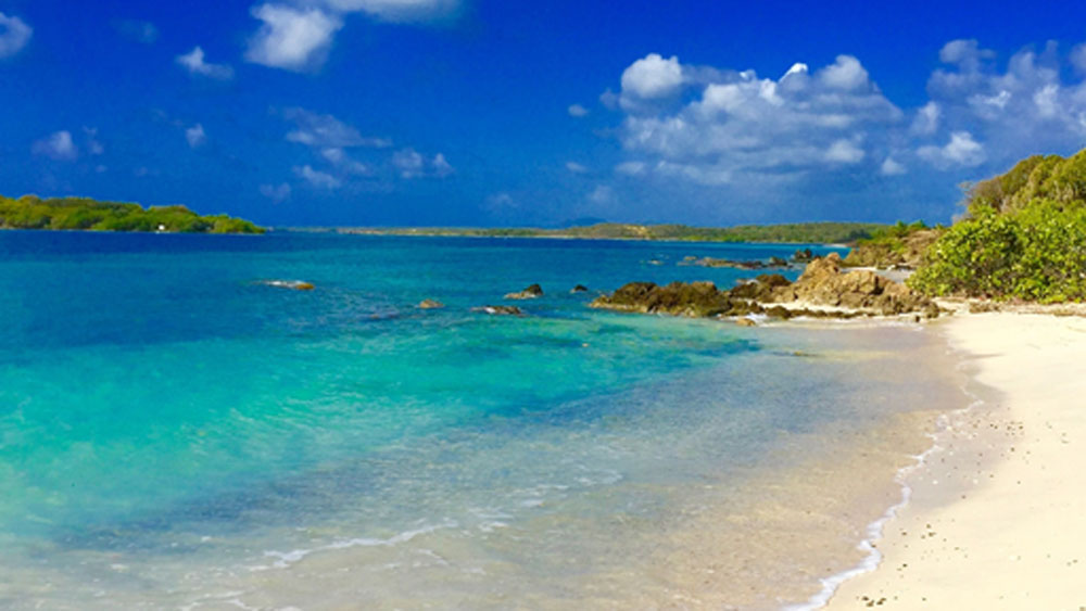 ৫ বছর ধরে টানা আন্দোলন চলার পর হার মানে নৌসেনা। ১৯৭৫ সাল নাগাদ দ্বীপ ছেড়ে চলে যায় সেনা।