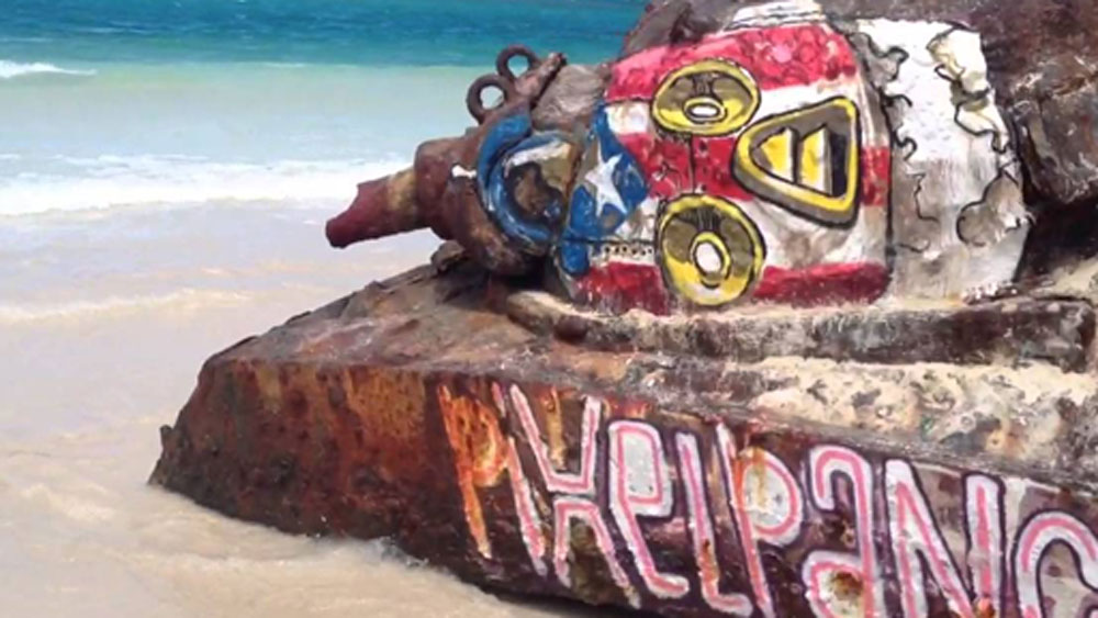 সমুদ্রের নোনা জলবায়ুর জেরেই এমন দশা হয়ে গিয়েছে কামানটির। এমন নির্জন এলাকায় কী ভাবে কামানটি এল?