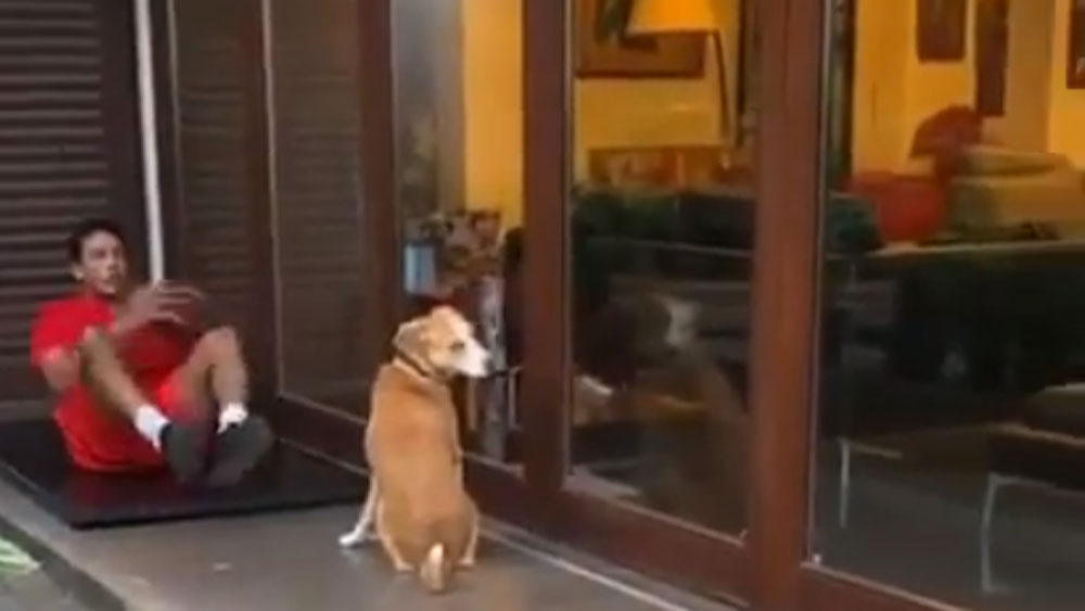 মু্ম্বইয়ের এই বাড়ির বৈঠকখানার একটি দেওয়াল পুরোটাই কাচের। বৈঠকখানায় বসেই বাইরে বাগানের শোভা দেখা যায়।