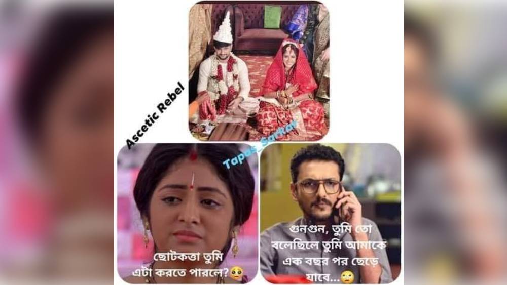 নীল-তৃণা, শ্যামা ও সৌজন্যকে নিয়ে মিম