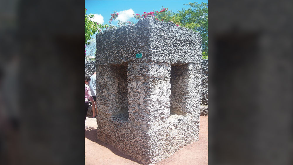 ১৯৫১ সালে ৬৪ বছর বয়সে প্রয়াত হন এডওয়ার্ড। তাঁর কোনও উইল ছিল না। ফলে পাথরের প্রাসাদ-সহ বাকি সম্পত্তির মালিক হন আমেরিকার মিশিগানবাসী হ্যারি নামে তাঁর এক ভাইপো।