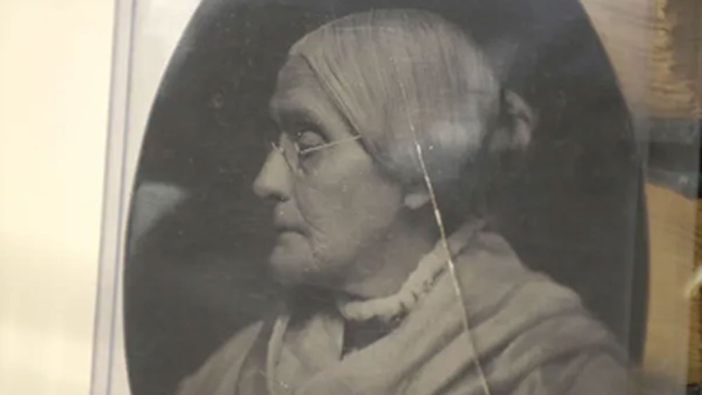 যার মধ্যে সবচেয়ে বেশি দাম পেয়েছেন নারীবাদী আন্দোলনকারী অ্যান্টনির ছবিতে। ৫০ হাজার ডলারে বিক্রি হয়েছে ছবিটি।