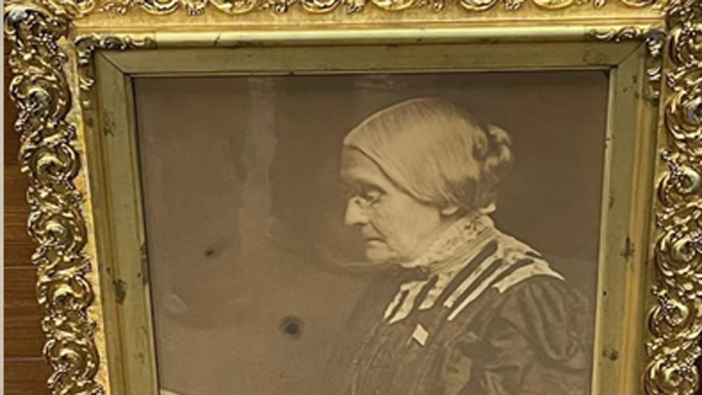 অ্যান্টনির ছবিটি মৃত্যুর এক বছর আগের। নারীবাদী অ্যান্টনি মহিলাদের অধিকার রক্ষার জন্য প্রচুর আন্দোলন করেছিলেন। ছবিগুলো সোনালি রঙের নকশা কাটা ফ্রেমে বন্দি করে রেখেছিলেন চিত্রকর।