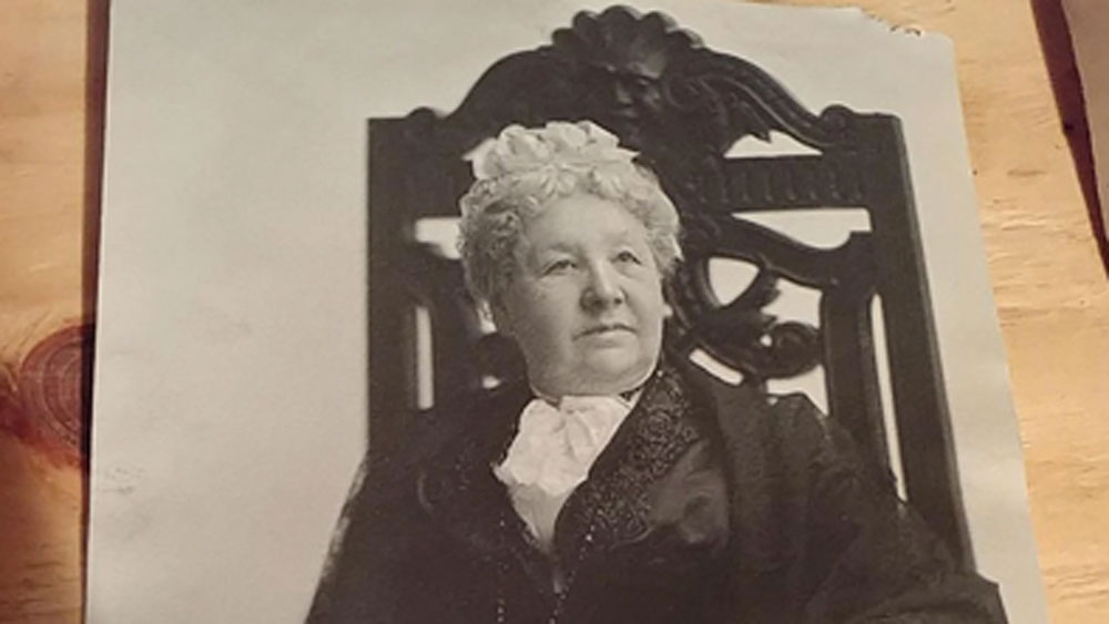 কট্টর নেত্রী এলিজাবেথ ক্যাডি স্ট্যান্টনের ছবিও ছিল তাতে। সুসান বি অ্যান্টনির একটি বিশাল ছবি ছিল। যা ১৯০৫ সালে হ্যালে তুলেছিলেন।