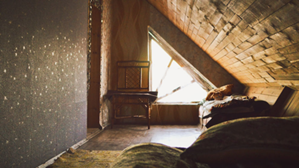 পর দিন এক বন্ধুকে নিয়ে ওই গোপন কুঠুরিতে প্রবেশ করেন তিনি। ভিতরে গিয়ে বিস্মিত হয়ে যান। বহু পুরনো দুর্মূল্য ছবির সমাহার ছিল এই গুপ্ত ঘরে।