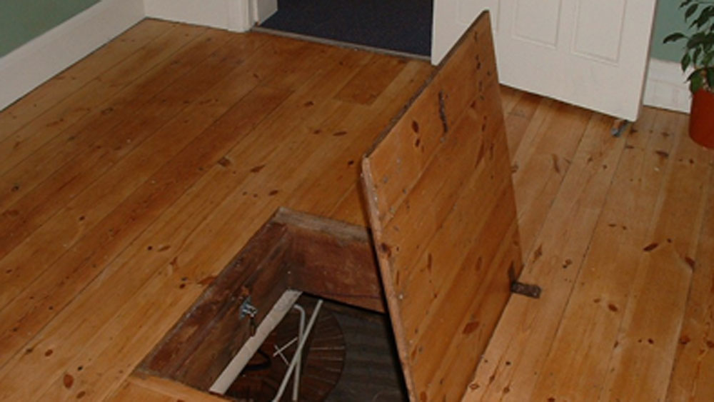 কেনার পর বাড়িটি মেরামতি করার সময়ই আচমকা সিলিংয়ে একটি গুপ্ত দরজা দেখতে পান হুইটকম্ব। দরজার ভিতরে মাথা গলিয়ে ভিতরে মজুত একাধিক ছবি দেখেন তিনি।