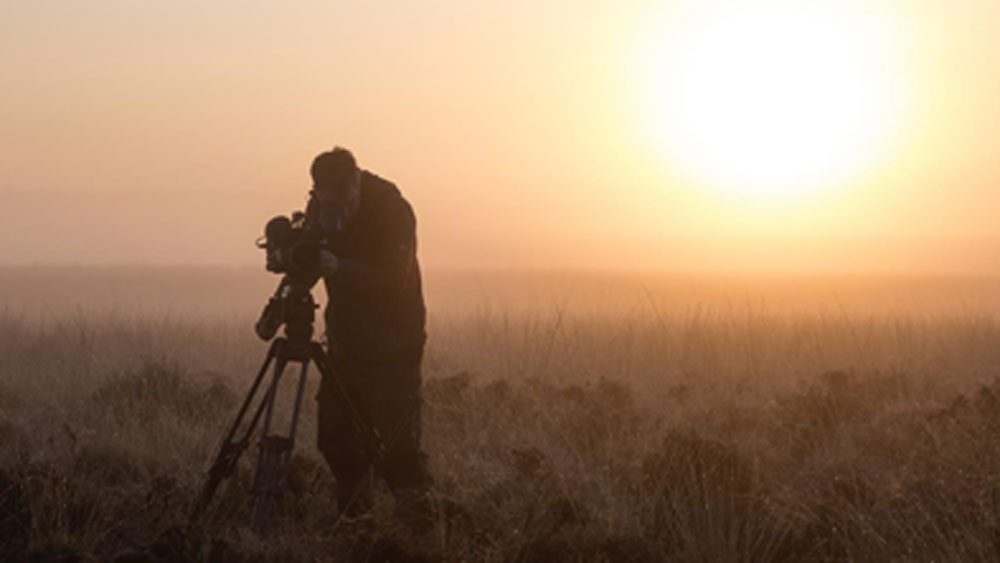 বাড়িটি ছিল চিত্রকর জেমস ইলারি হ্যালের। ১৮৯২ থেকে ১৯২০ সাল পর্যন্ত তিনি জেনেভাতে ছিলেন। জানা যায়, ১৯০০ সালে বাড়িটি কিনেছিলেন তিনি।
