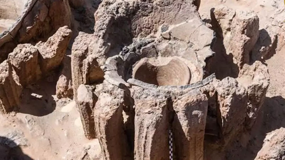 এই পাত্রেই আঙুর এবং জল মিশিয়ে প্রস্তুত হত বিয়ার। মূলত রাজ পরিবারের কোনও অনুষ্ঠানে কিংবা উৎসবে এই বিয়ার কাজে লাগত।