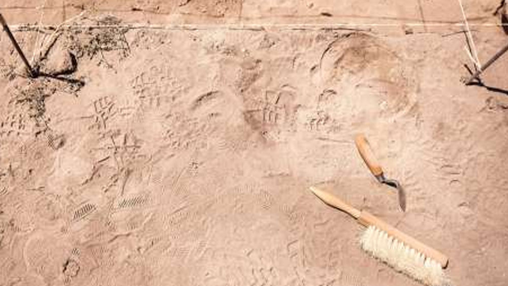 ইতিহাসবিদদের মতে, সঠিক বিয়ার প্রস্তুতির কলাকৌশল তাঁদের থেকেই শিখেছে বাকি দেশ। এ বার আরও এক ধাপ এগিয়ে মিশরে খোঁজ মিলল বিশ্বের সবথেকে প্রাচীন বিয়ার তৈরির কারখানার।