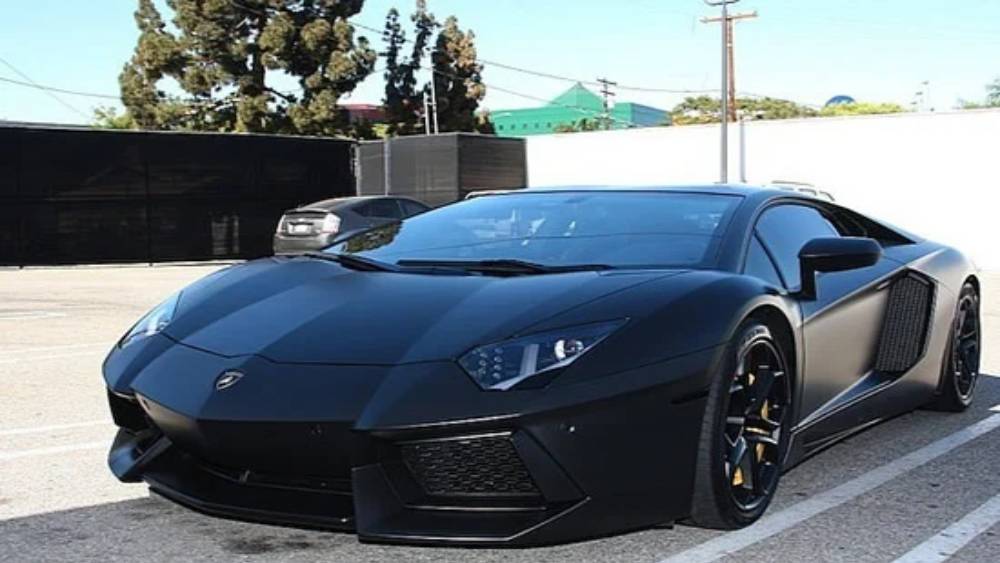 বাড়ির মতো এই জুটির গাড়ির সংগ্রহও তাক লাগিয়ে দেয়। বিশ্বের মহার্ঘ্য সব বাহনের মালিক তাঁরা। ল্যাম্বরগিনি গ্যালার্ডো, অ্যাস্টন মার্টিন, মার্সিডিজ, এসএলআর স্টার্লিং মস-সহ তাবড় গাড়ি আছে তাঁদের সংগ্রহে।