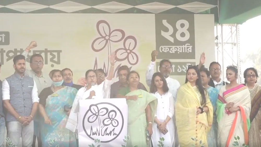 একটা হোঁদল কুতকুত, অন্যটা কিম্ভূত কিমাকার, শাহ-মোদীকে এক যোগে আক্রমণ মমতার