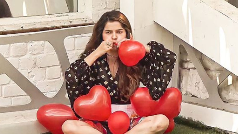 অভিনবের কোনও অসম্মান মেনে নিতেন না রুবিনা। এ নিয়ে অনেকবার রাখিকে সাবধানও করেন তিনি।