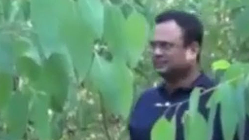 গলা পর্যন্ত দেনায় ডুবে থাকা রাজশেখর আজ কোটিপতি। প্রতি বছরে বাঁশ চাষ থেকেই অন্তত ১ কোটি টাকা আয় করেন তিনি। তাঁর নাম লোকের মুখে মুখে ফেরে। গ্রামবাসীরা এখন ‘ব্যর্থ’ রাজশেখরের কাছে বাঁশ চাষের পাঠ নিতে আসেন।