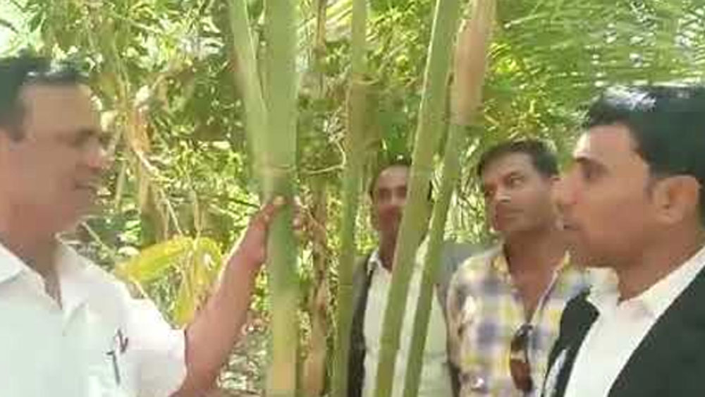 ‘রাজশেখর পাতিল বাম্বু’ নামে তাঁর একটি ইউটিউব চ্যানেলও রয়েছে। তাঁর গ্রাহক সংখ্যা ৮ হাজারেরও বেশি। কী ভাবে বিভিন্ন প্রজাতির বাঁশ চাষ করে সাফল্য পাওয়া যাবে তা শেখান তিনি।