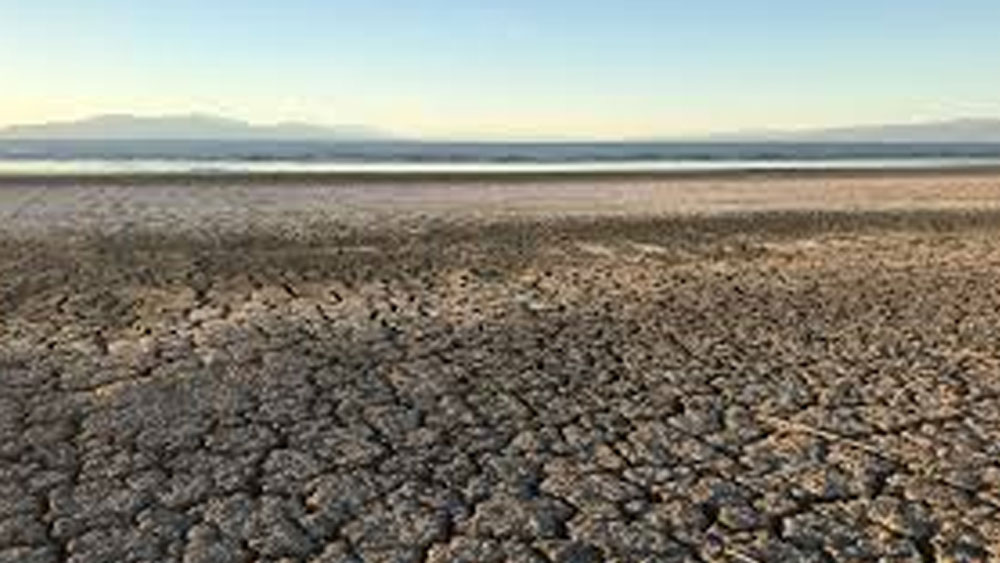 জলে প্রাণী মরে পচন ধরে যেতে শুরু করে। সব মিলিয়ে এক দিকে যেমন নদীর জল সম্পূর্ণ শুকিয়ে আসে অন্য দিকে তেমনই প্রাণীর দেহ পচে বিষাক্ত গ্যাস তৈরি হয়।