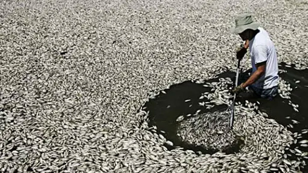 নদীর জল শুকিয়ে গিয়ে অত্যন্ত লবণাক্ত হয়ে ওঠে। প্রাণী মারা যেতে শুরু করেছিল সে কারণেই। ওই জলে আর চাষাবাদও হত না।