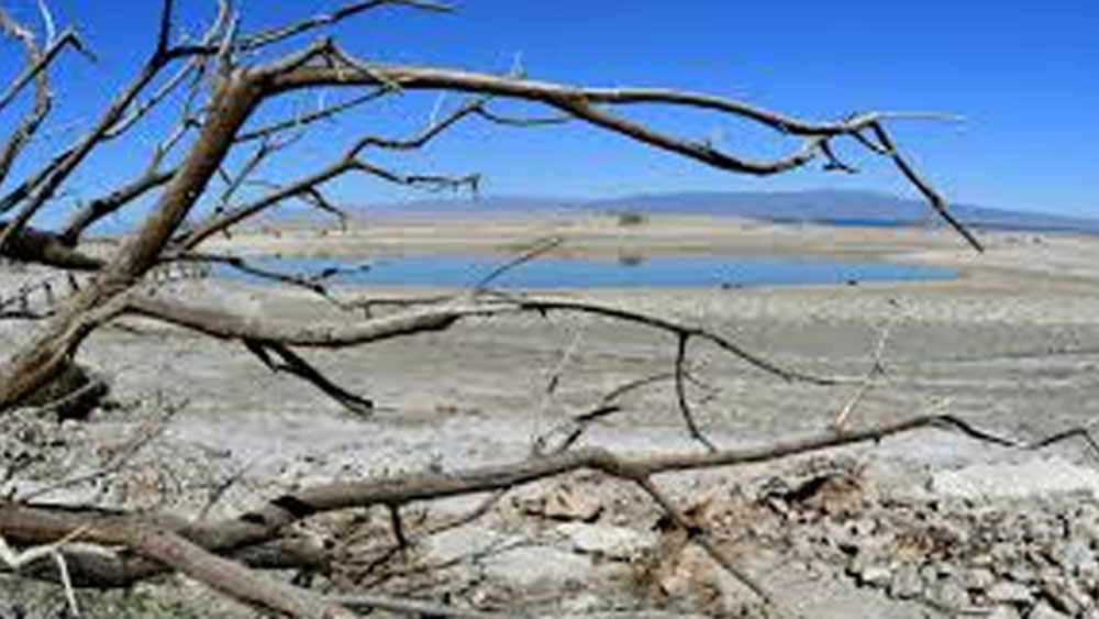 বছরের অন্যান্য সময় জল শুকিয়ে গেলেও প্রতি বছর বর্ষায় জলে পরিপূর্ণ হয়ে ওঠে নদী। যাকে কেন্দ্র করে চাষাবাদ, পর্যটনের প্রসার ঘটতে শুরু করে। নদীকে কেন্দ্র করে প্রচুর বন্যপ্রাণীরও দেখা মিলতে শুরু করে।