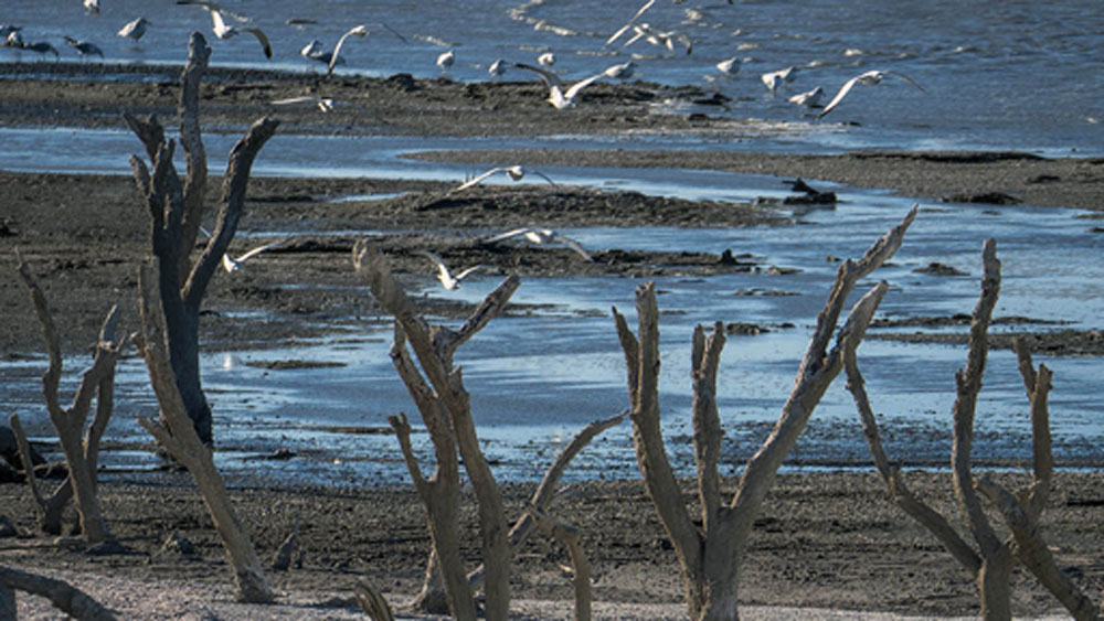 বন্যা দেখা দেয় এবং কলোরাডো নদীতে বান আসে। নদীর জল স্যালটন হ্রদ ছাড়াও আশেপাশের উপত্যকা ভাসিয়ে নিয়ে যায়। সেই জল জমেই তৈরি হয় স্যালটন নদী।