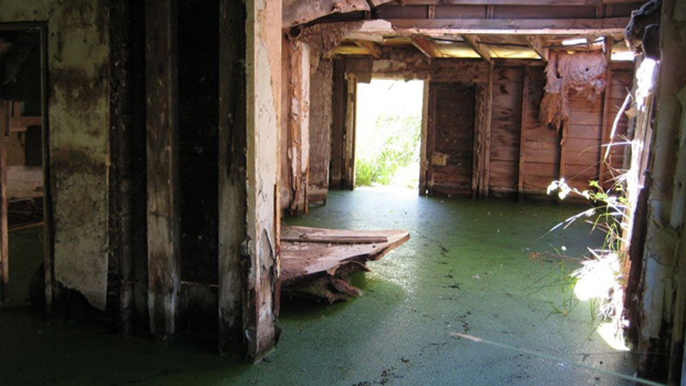 নিশ্চিহ্ন হয়ে যায় রেললাইন, পাকা রাস্তা। ধসে তলিয়ে যায় ঘর-বাড়ি। তার উপর বৃষ্টির প্রকোপও এত ভয়ঙ্কর ছিল যে রাতারাতি জল জমে যায় শহরে।