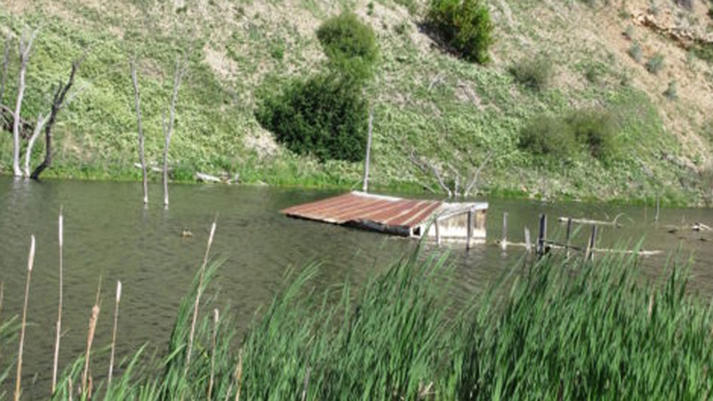 ১৮৪০ সাল থেকে বসতি স্থাপন শুরু হলেও ১৮৯০ সাল নাগাদ এই শহর পুরোপুরি বিস্তার লাভ করে। গুরুত্বপূর্ণ রেললাইন, সড়কপথ তৈরি হয়ে গিয়েছে তত দিনে।