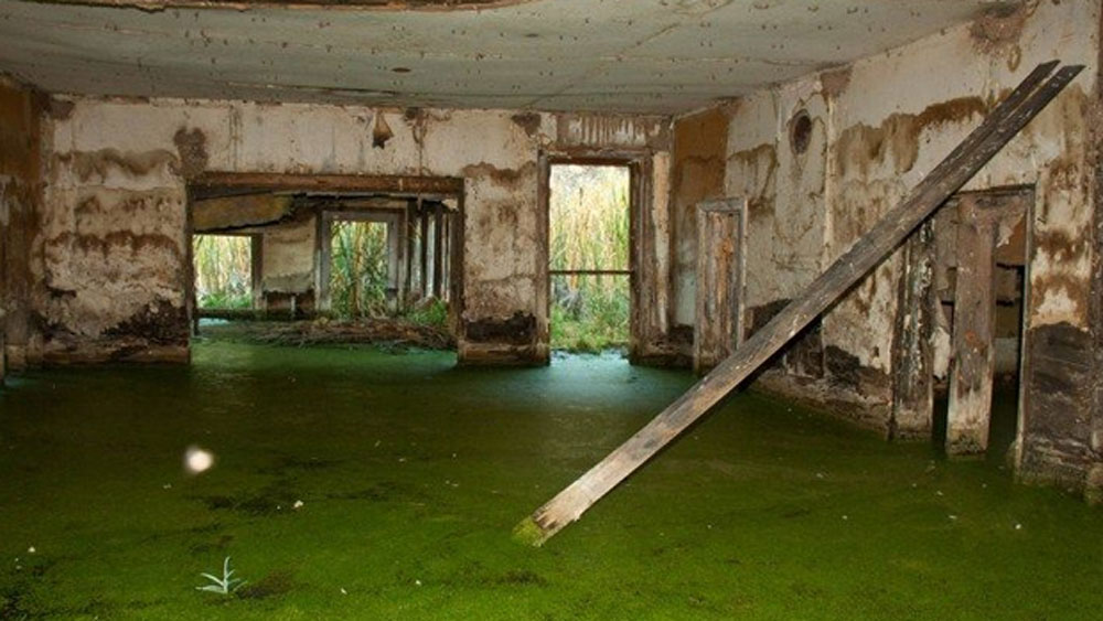 ব্যস্ত ওই শহর আজ সম্পূর্ণ নিশ্চুপ। ক্ষণিকের জন্য গাড়ি থামালে এর নিস্তব্ধতা শরীরে শিহরণ জাগিয়ে তোলে।